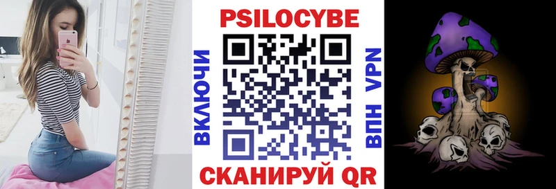 Купить Зверево Галлюциногенные грибы Cubensis